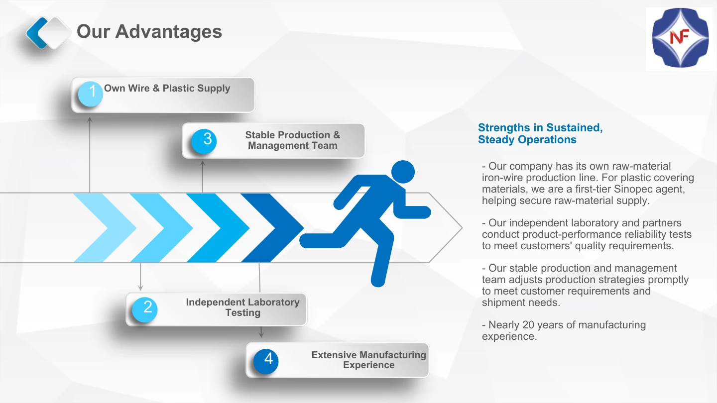 NF English catalog, page 8: Our advantages